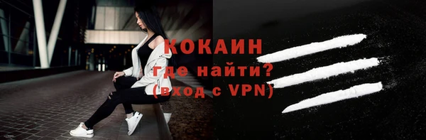 дживик Абаза