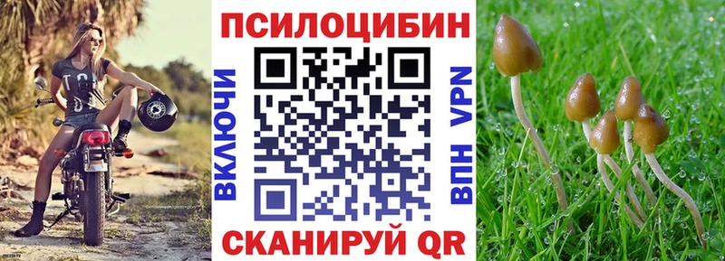 купить  цена  Разумное  Галлюциногенные грибы прущие грибы 